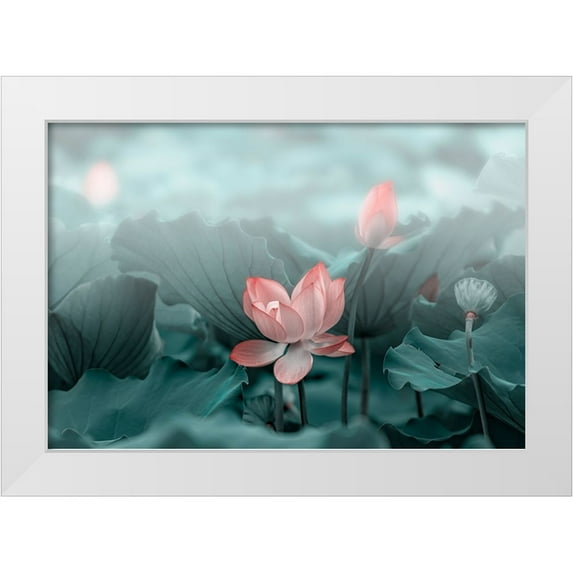 Liu, Betty 18x14 White Modern Wood Framed Museum Art Print Titled - Lotus Flower and Bud