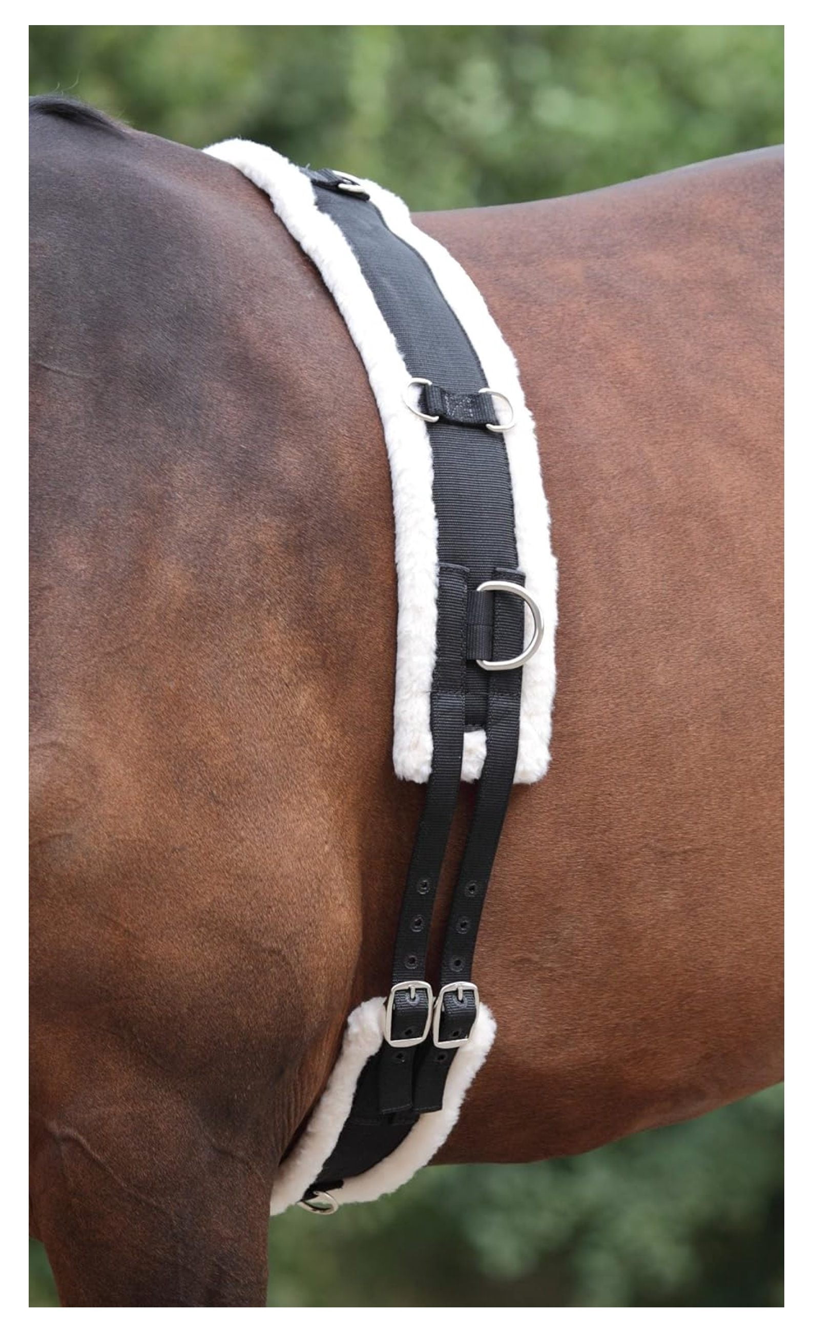 Un entraînement varié, pour un cheval en bonne santé