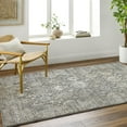 thumbnail image 1 of Livabliss Area Rugs for Living Room, 5x7 Alpharetta Traditional Charcoal Rug, Bedroom Dining Room Home Decor Stain Resistant Carpet (5'3" x 7'), 1 of 7