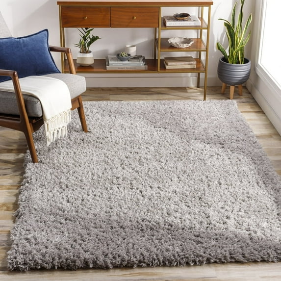 Livabliss Area Rugs for Living Room, 4x6 Angora Modern Medium Gray Rug, Bedroom Dining Room Home Decor Stain Resistant Carpet (3'11" x 5'7")