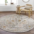 thumbnail image 1 of Livabliss Area Rugs for Living Room, 9ft Round Ankara Traditional Dusty Pink Round Rug, Bedroom Dining Room Home Decor Stain Resistant Carpet (7'10" x 7'10"), 1 of 8