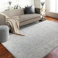 thumbnail image 1 of Livabliss Area Rugs for Living Room, 12x15 Avant Garde Traditional Gray Rug, Bedroom Dining Room Home Decor Stain Resistant Carpet (12' x 15'), 1 of 8