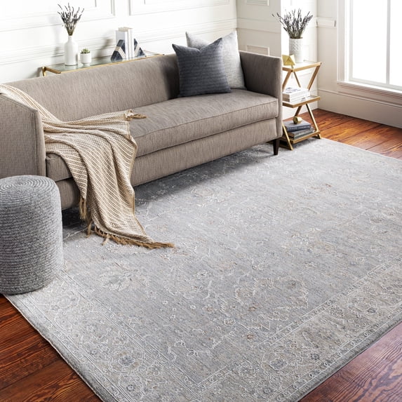 Livabliss Area Rugs for Living Room, 3x4 Avant Garde Traditional Gray Rug, Bedroom Dining Room Home Decor Stain Resistant Carpet (2'7" x 3'11")