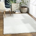 thumbnail image 1 of Livabliss Area Rugs for Living Room, 4x6 Deluxe Shag Modern White Rug, Bedroom Dining Room Home Decor Stain Resistant Carpet (4'3" x 5'11"), 1 of 8