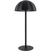 Livabliss Furnas Portable Table Lamp, 14-inch, Black