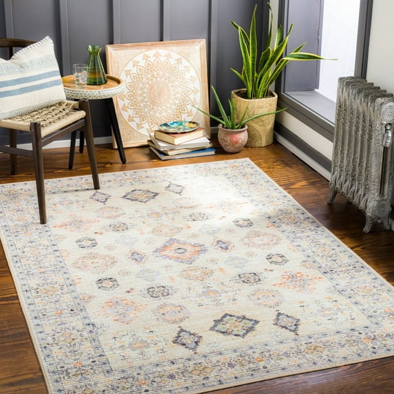 Livabliss Leicester Vintage Washable Area Rug, Grey, 2'7" x 4'