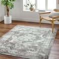thumbnail image 1 of Livabliss Monte Carlo Vintage Medallion Area Rug,8'10" x 12',Charcoal, 1 of 5