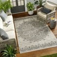 thumbnail image 1 of Livabliss Outdoor Rugs, 5x7 Ravello Traditional Ivory Area Rug for Patio, Porch, Deck, Backyard, Waterproof Indoor Outdoor Carpet (5'3" x 7'), 1 of 6