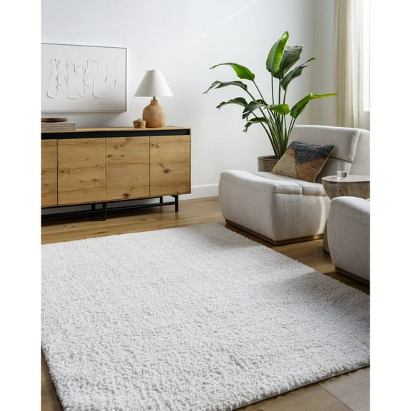 Livabliss Area Rugs for Living Room, 5x7 Sacramento Shag Modern White Rug, Bedroom Dining Room Home Decor Stain Resistant Carpet (5'3" x 7')