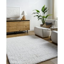Livabliss Area Rugs for Living Room, 5x7 Sacramento Shag Modern White Rug, Bedroom Dining Room Home Decor Stain Resistant Carpet (5'3" x 7')