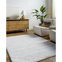 Livabliss Area Rugs for Living Room, 5x7 Sacramento Shag Modern White Rug, Bedroom Dining Room Home Decor Stain Resistant Carpet (5'3" x 7')