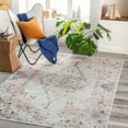 thumbnail image 1 of Livabliss Washable Rugs for Living Room, 8x10 Tahmis Traditional Light Gray Area Rug, Bedroom Dining Room Home Decor Stain Resistant Carpet (7'10" x 10'2"), 1 of 7