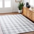 thumbnail image 1 of Livabliss x Becki Owens Sammy Handwoven Plaid Area Rug,6' x 9',Light Slate/Charcoal, 1 of 9