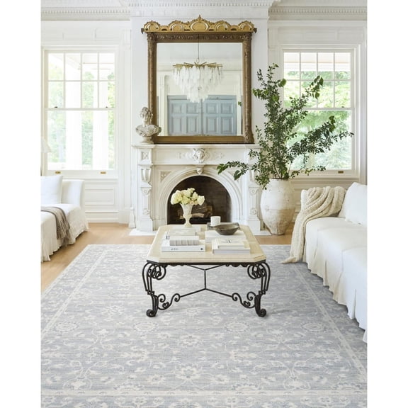 Livabliss x Nabela Noor Home Asha Printed Vintage Area Rug,7'10" x 10',Sky Blue/Off-White