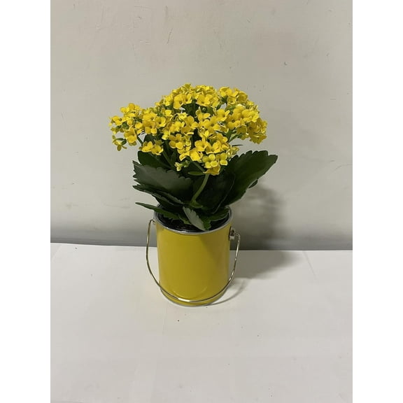 Live 4" Yellow Kalanchoe in 4" Yellow Paint Can Gift Container