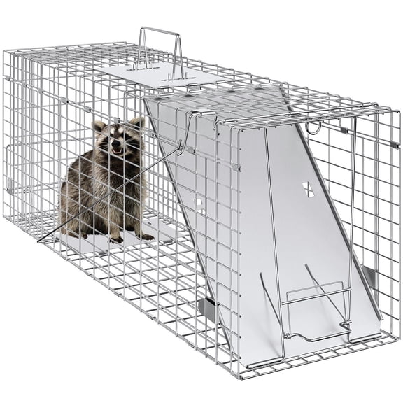 Live Animal Cage Trap  31” x 10” x 12” Humane Cat Trap Galvanized Iron  Folding Animal Trap with Handle for Rabbits  Stray Cats  Squirrels  Raccoons  Groundhogs and Opossums