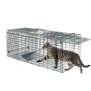 Humane Way Folding 32 inch Live Humane Animal Trap - Safe Traps for All Animals - Raccoons, Cats, Groundhogs, Opossums - 32x10x12