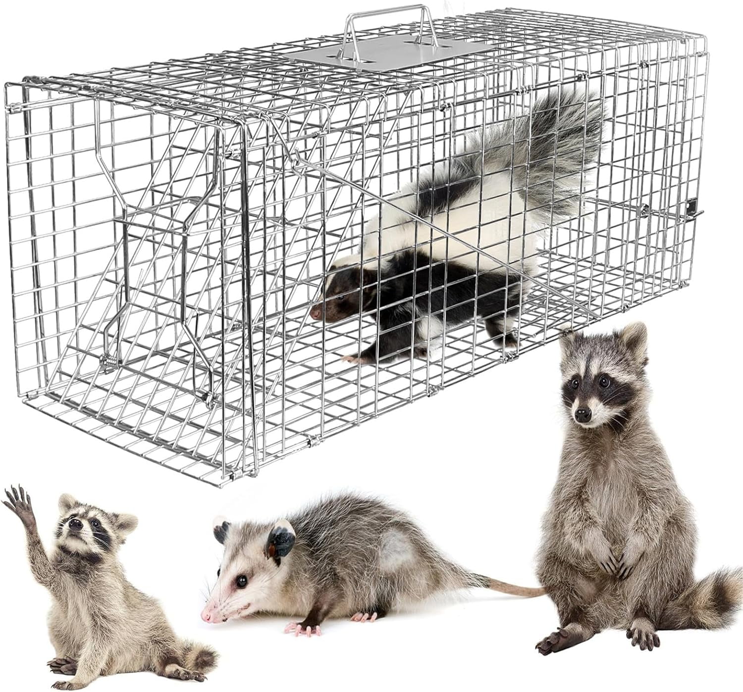 Best Beaver Trap