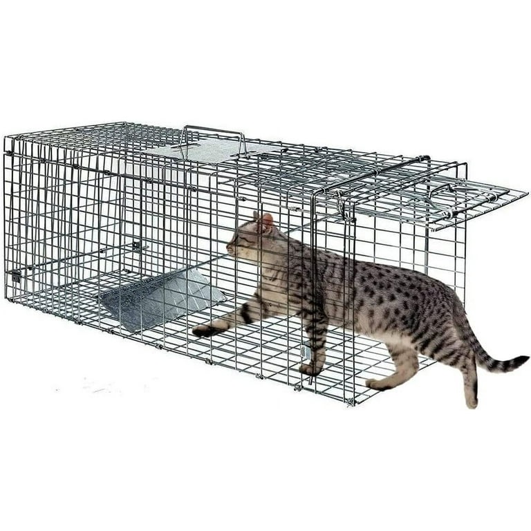 Humane Rat Trap Chipmunk Squirrel Rodent Trap Foldable Mouse Trap Small  Live Animal Mouse Voles Hamsters Live Cage Rat Mouse Cage Trap for Mice  Easy