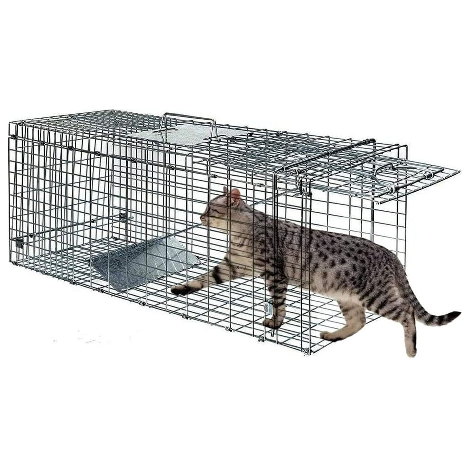 https://i5.walmartimages.com/seo/Live-Animal-Trap-Cage-Humane-Cat-Rabbit-Mouse-Traps-Raccoons-Small-Squirrel-Outdoor-Groundhog-Trap-24-Steel-Release-Rodent_5babb5eb-f802-4939-946e-52354041cd76.785d4524535d0bee746ea87d49717b47.jpeg