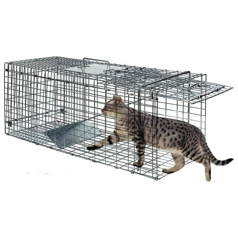 https://i5.walmartimages.com/seo/Live-Animal-Trap-Cage-Humane-Cat-Rabbit-Mouse-Traps-Raccoons-Small-Squirrel-Outdoor-Groundhog-Trap-24-Steel-Release-Rodent_5babb5eb-f802-4939-946e-52354041cd76.785d4524535d0bee746ea87d49717b47.jpeg?odnHeight=768&odnWidth=768&odnBg=FFFFFF