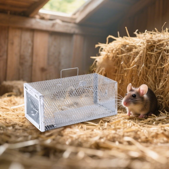 Live Animal Trap Metal Cage for Mice Squirrels Humane Catch and Release Reusable Small Pest Control for Indoor Outdoor Home Garden Garage 12.2*7.9*3.9 Inches