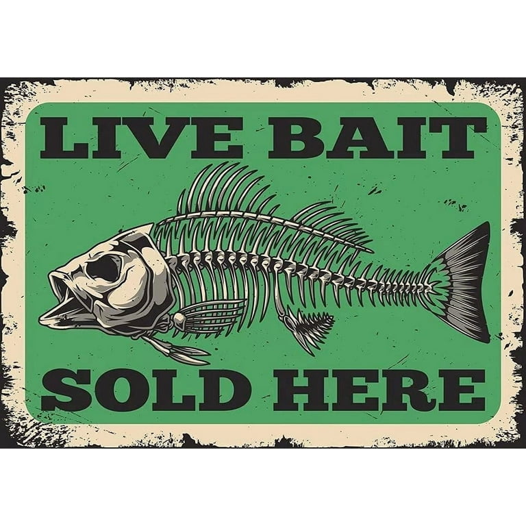 Live Bait Sold Here Nostalgic Tin Signs Funny Poster Art Wall Decor for Pub  Bar Vintage Wall Stickers 8x12 Inch 