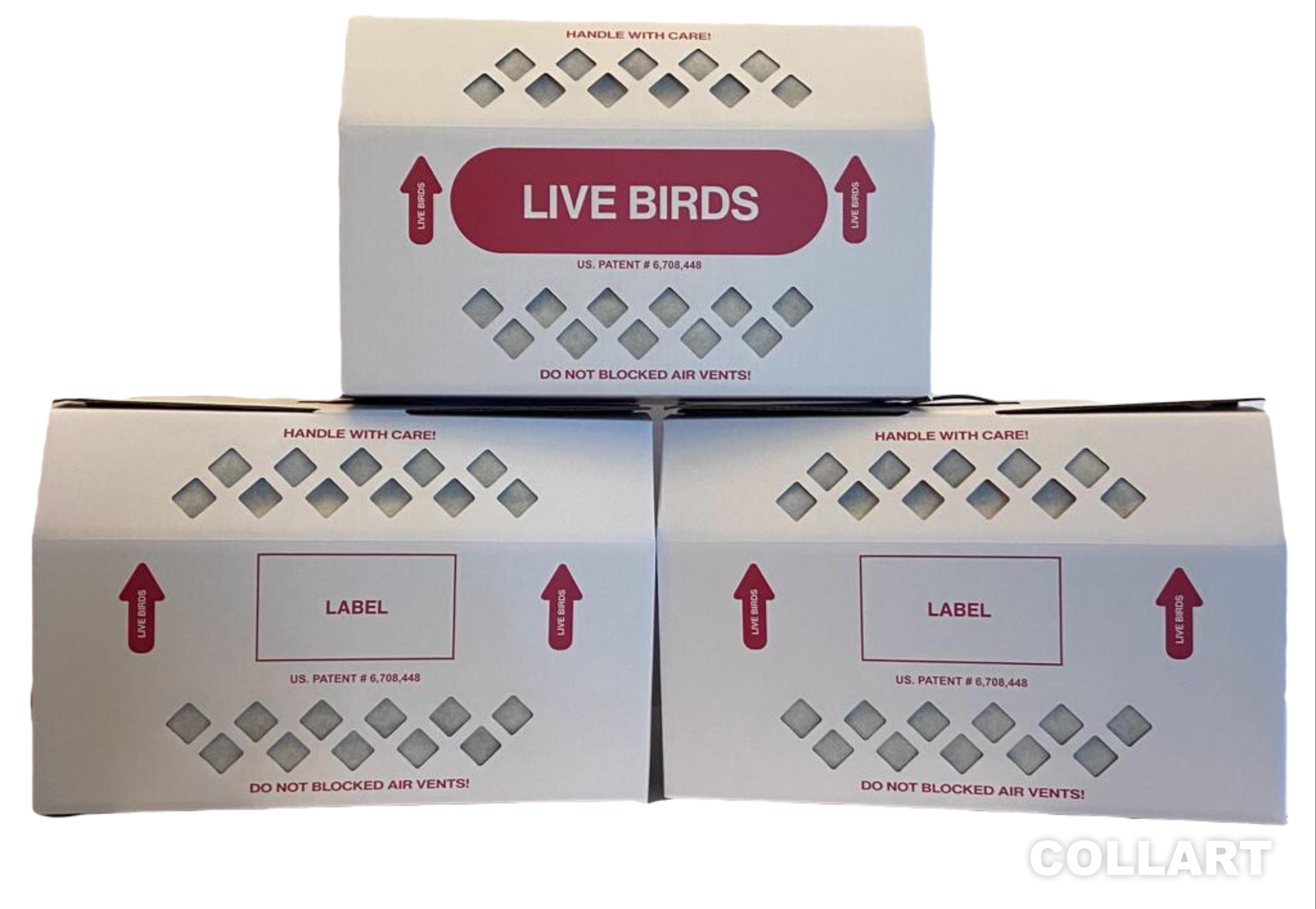 Container Box Logistics Live Bird Shipping Box Less Expensive Size 18