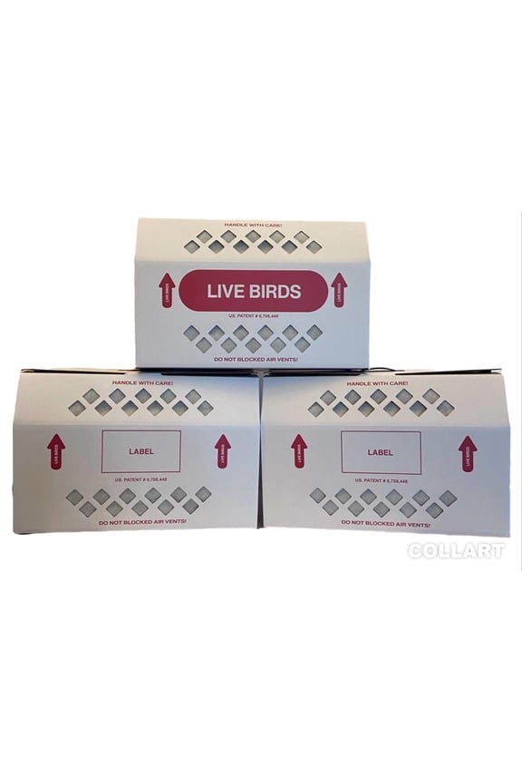 Live Bird Shipping Box Less Expensive Size 18" x 8" x 12" Tall-with Handle for Poultry, Pigeons, & Canaries - 3 Boxes
