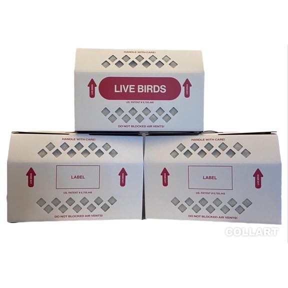 Live Bird Shipping Box Less Expensive Size 18" x 8" x 12" Tall-with Handle for Poultry, Pigeons, & Canaries - 3 Boxes