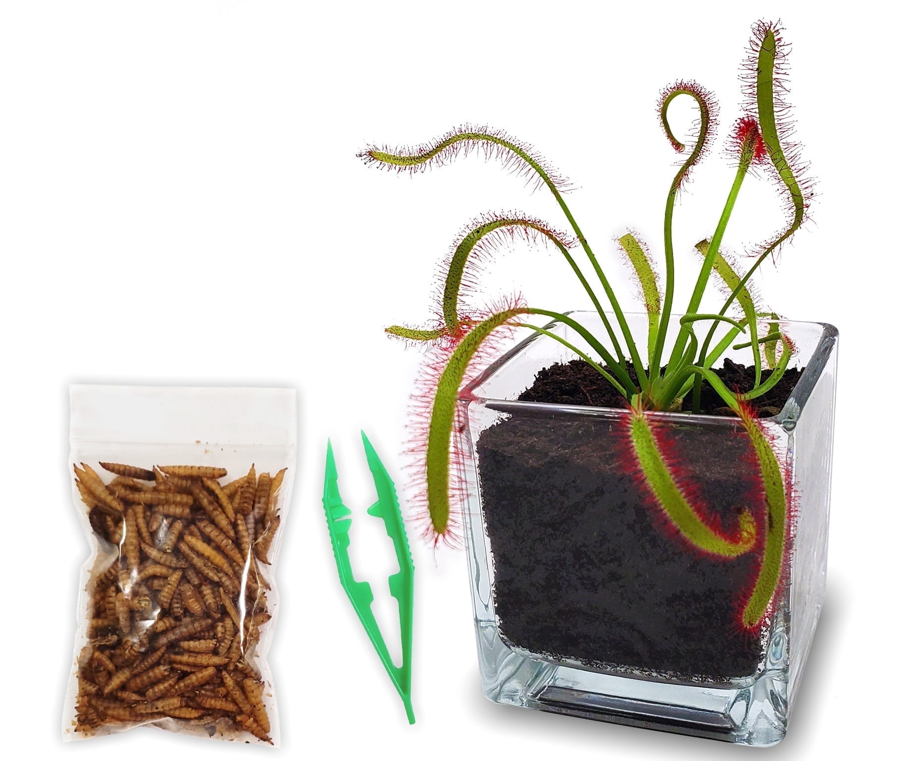 to plant a garden is to believe in tomorrow Personalized Name To Plant A Garden Is To Believe In Tomorrow Garden Stake main image 1