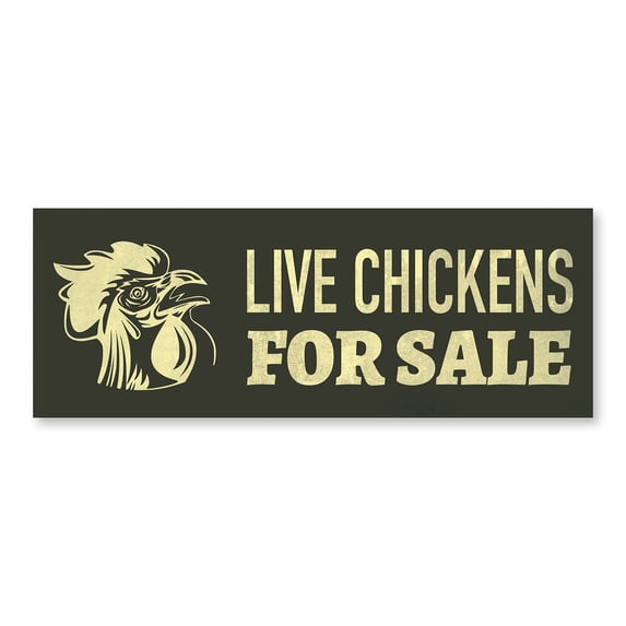 Live Chickens 12" x 4.5" Decal | Advertise Your Business | All Weather Can Apply To Any Surface | Farm Farmer Advertising Displays | Made in The USA