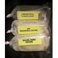 Live Culture Combo (1 Oz Each) Microworm Walter Worm Vinegar EEL