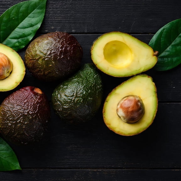 Live Dwarf Avocado Tree, Avocado Fruit Tree Live Plant, 6 - 12 Inhes Tall, Tropical Fruit Trees for Outdoor Planting