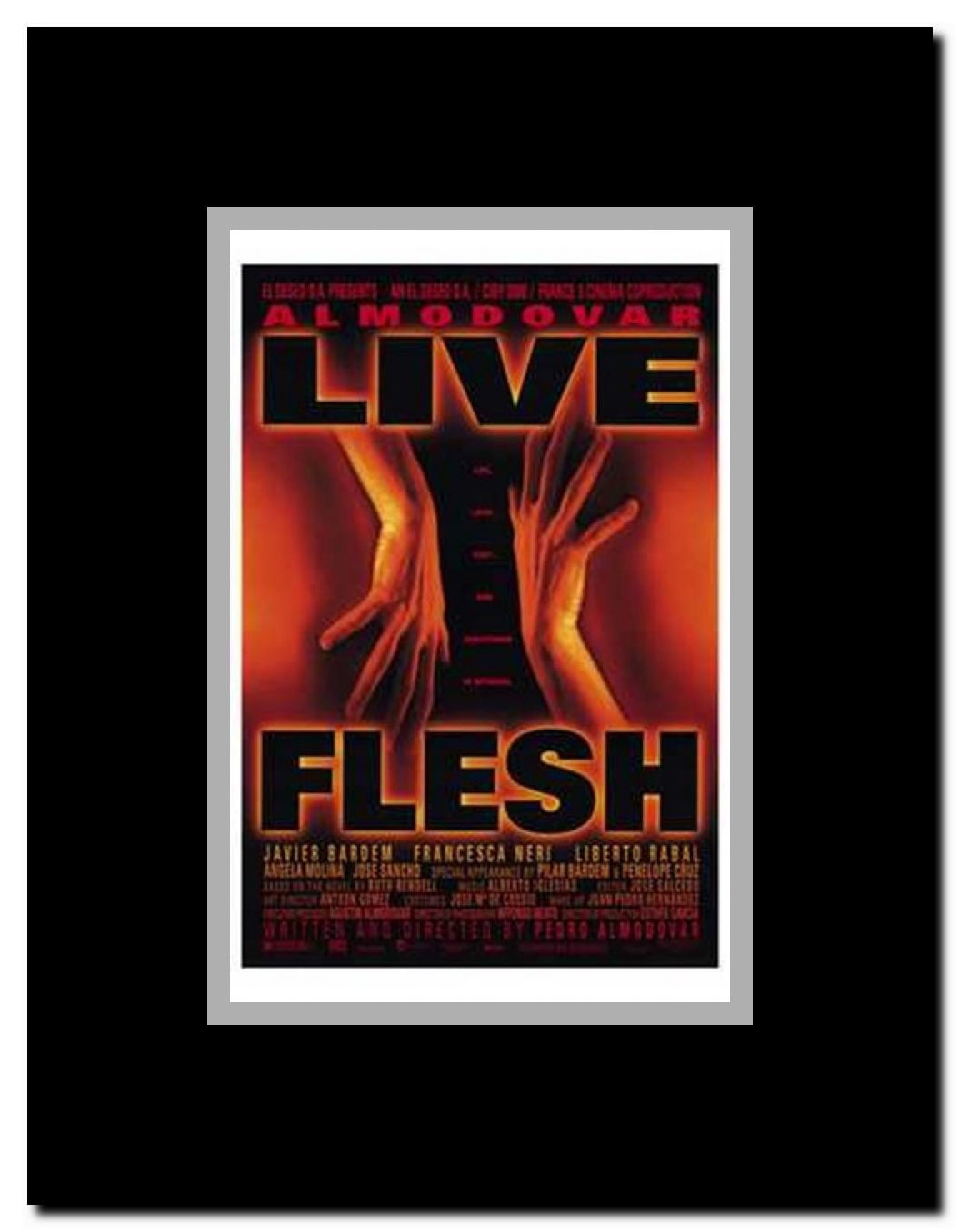 Live Flesh Framed Movie Poster