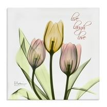 Live Laugh Love Phrase Yellow Pink Tulip Florals Botanical & Floral Gallery-Wrapped Canvas Print Wall Art, 17x17