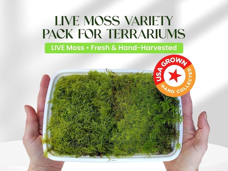 Live Moss Variety Pack for Terrariums – Fresh Live Moss – Natural Green Moss – Pet-Safe Moss for Reptile Tanks, Fairy Gardens, and Indoor Décor