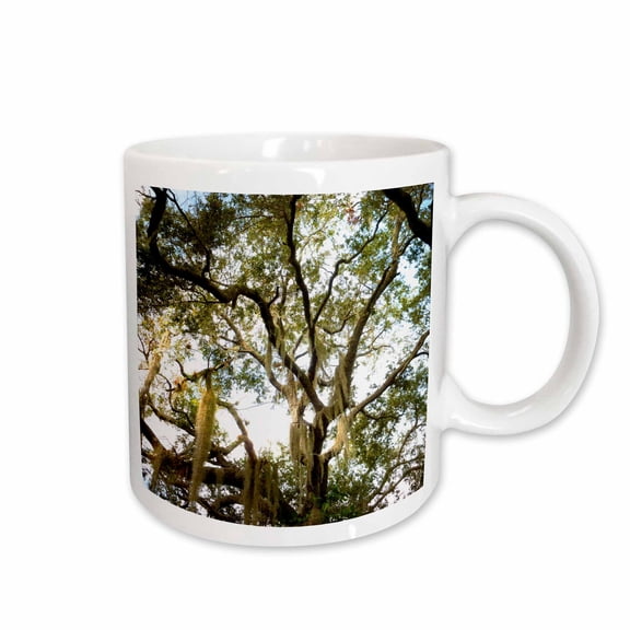 3drose, Live Oak Old Tree Branches Spanish Moss 3d, 15oz Mug