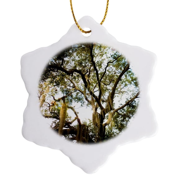 3drose, Live Oak Old Tree Branches Spanish Moss 3d, 3 inch Snowflake Porcelain Ornament