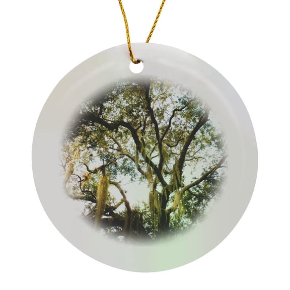 3drose, Live Oak Old Tree Branches Spanish Moss 3d, Circle Porcelain Ornament