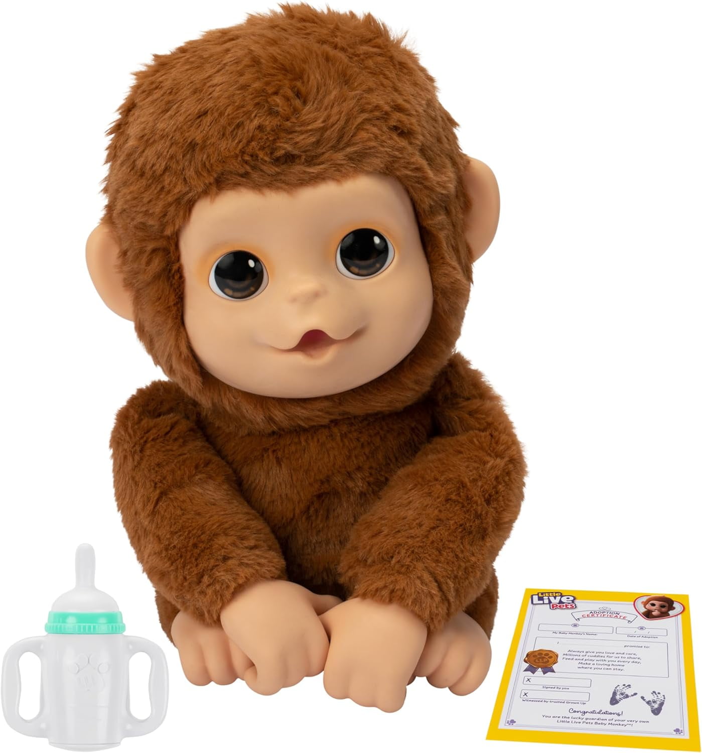 Live-Pets-My-Baby-Monkey-Mango