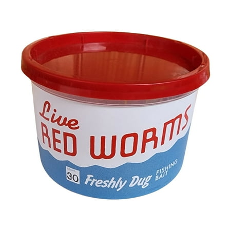 Live Red Worms - Ideal Fishing Size 30 Count, 2-4 Inches