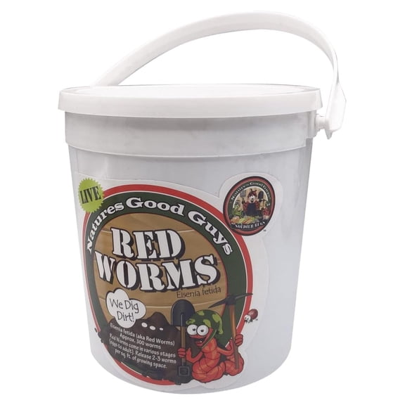 Live Red Worms - Red Wigglers (Live Red Worms - 300 Count)