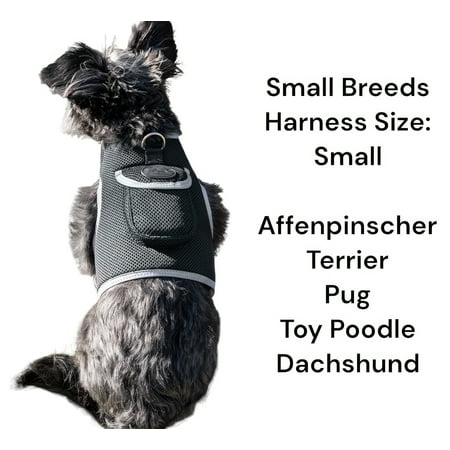 Live/SMS Tracking w/ Waterproof Collar Clip Animal GPS Tracking Device Size:XL