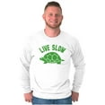 thumbnail image 1 of Live Slow Turtle Tortoise Animals Long Sleeve TShirt Men Women Brisco Brands M, 1 of 6
