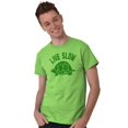 thumbnail image 1 of Live Slow Turtle Tortoise Animals Men's Graphic T Shirt Tees Brisco Brands 3X, 1 of 6