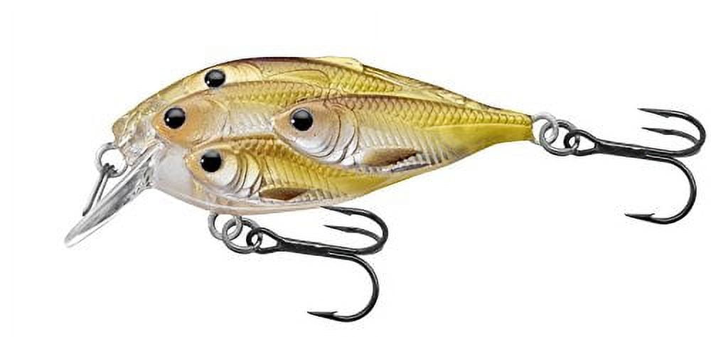 【美品】【希少品】Squirrel Bait 美品】【希少品】Squirrel Bait Squirrel Fishing Lure Grey | eBay
