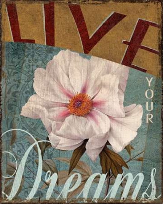 Live Your Dreams Canvas Art - Kelly Donovan (24 x 30)