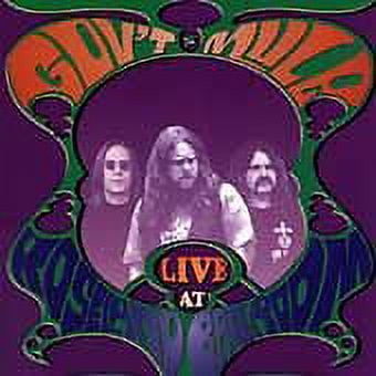 Pre-Owned Live at Roseland Ballroom by Gov't Mule (CD, Oct-1996, Foundation)
