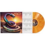 Y&T - Live at Sherwood Hall, Salinas, California - October 1, 1983 - Clear Tangerine with yellow swirl - Music & Performance - Vinyl